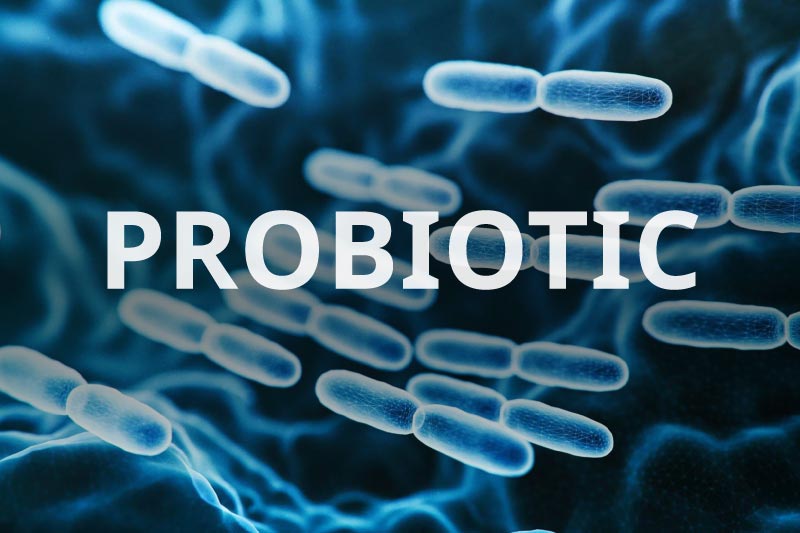 What Are Probiotics and How Can They Help?