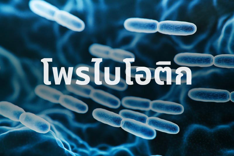 โพรไบโอติก คืออะไร และ ช่วยอะไรได้บ้าง