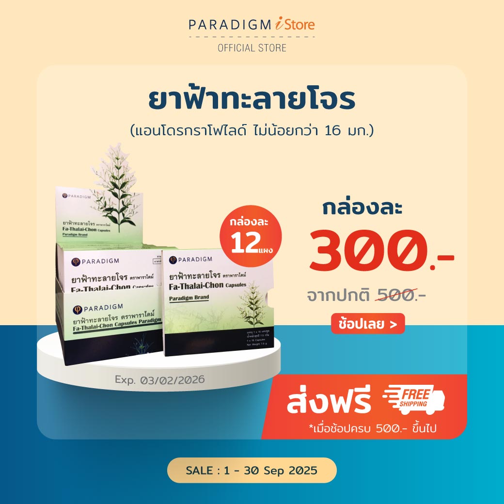 ยาฟ้าทะลายโจร ตราพาราไดม์ แบบกล่อง