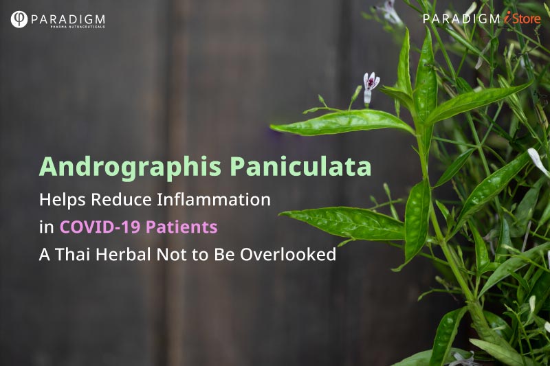 andrographis-paniculata-and-covid-en